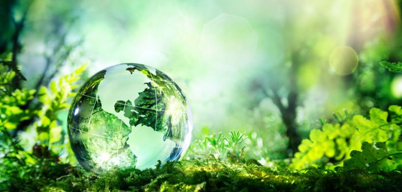 green glass globe in green forest